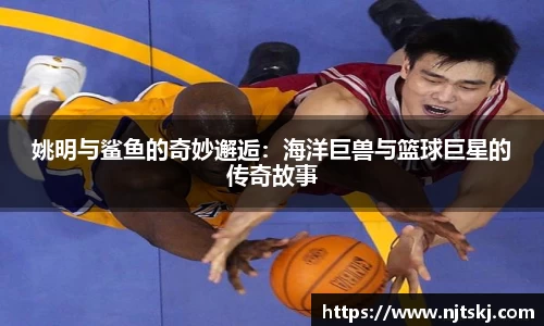 姚明与鲨鱼的奇妙邂逅：海洋巨兽与篮球巨星的传奇故事